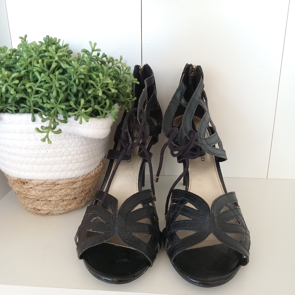 Black Snakeprint - image 1